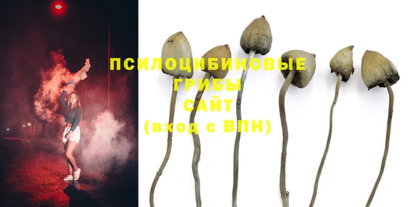 таблы Алексеевка