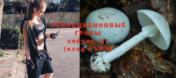кокаин премиум Алексин