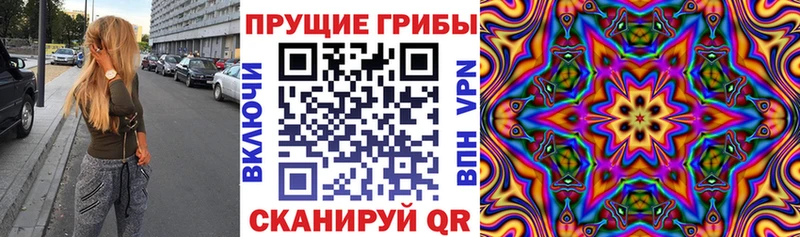Псилоцибиновые грибы прущие грибы  Новопавловск 